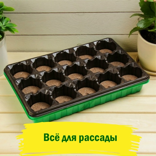 Всё для рассады, кассеты и торфотаблетки